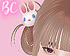 🍰Winter Bunny