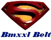 Superman Bmxxl Garter