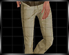 Summer Casual Beige Pant