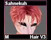 Sahnekuh Hair M V3