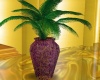 *RD* Burgandy Vase Palm