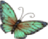 animated green butterfly