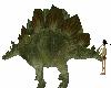 Skys Stegosaurus Dinosau