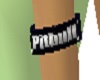 Pitbull name armband
