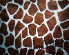 Giraffe Style Blanket