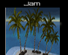 jT^ coco island