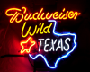 Wild Texas Sticker