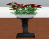 Table w/Red Roses