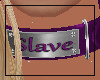 Slave collar-purple
