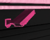 [L] Security Camera