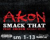 akion & eminem