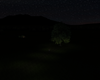 Under The Stars