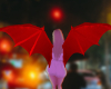 Wings - Devil Red