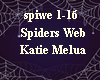 >Spiders Web