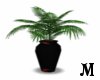 [M] Victorian Plant