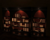 (SL)TUSCAN Bookcase