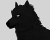 P' Black Wolf Pet
