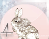 $ Pastel Bunny