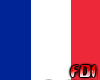 Animated France Flag