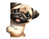 Happy Puggy Sticker