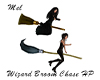 Wizard Broom Chase HP