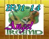 IRJ1-14- Irlandais song