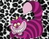 Cheshire Cat/Watch Enh
