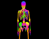 Rainbow Skeleton