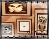 !V Owls frames