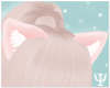 Y| Kitten Ears Pink