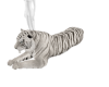 Matth White Tiger