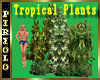 Tropical Plants Grouping