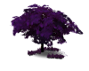 purplehaze tree