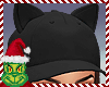 [BOB] Kitty Ringo