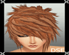 [DSE]Brown hair