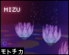 ㋲ MIZU | Lotus.2