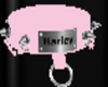 Harley Spike collar