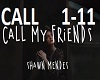 ShawnMendes-CallMyFriend