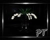 PT~ Dark Plant