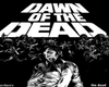 Dawn of the Dead Shirt