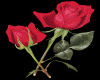 2 red glitter rose