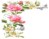 frame roses