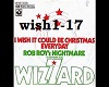 wish it would be christ