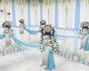 Blue & Wht Wedding Aisle