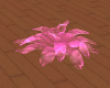 iggis avatar plant pink