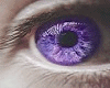 **Ster Eyes Purple M/F