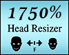 Head Scaler 1750%