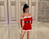 !~Santa Dress