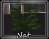 NT Beautiful Planter