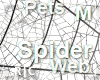 R|C Spider Web White M